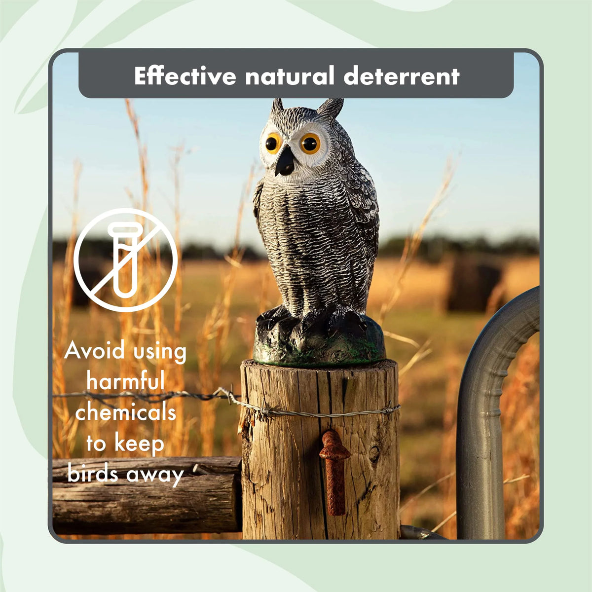 Pest Decoys Repellent (set (small) Protectors Owl - Garden Scarecrow Fake of - 3)