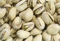 Bulk Pistachio 5 Salted Nuts lbs