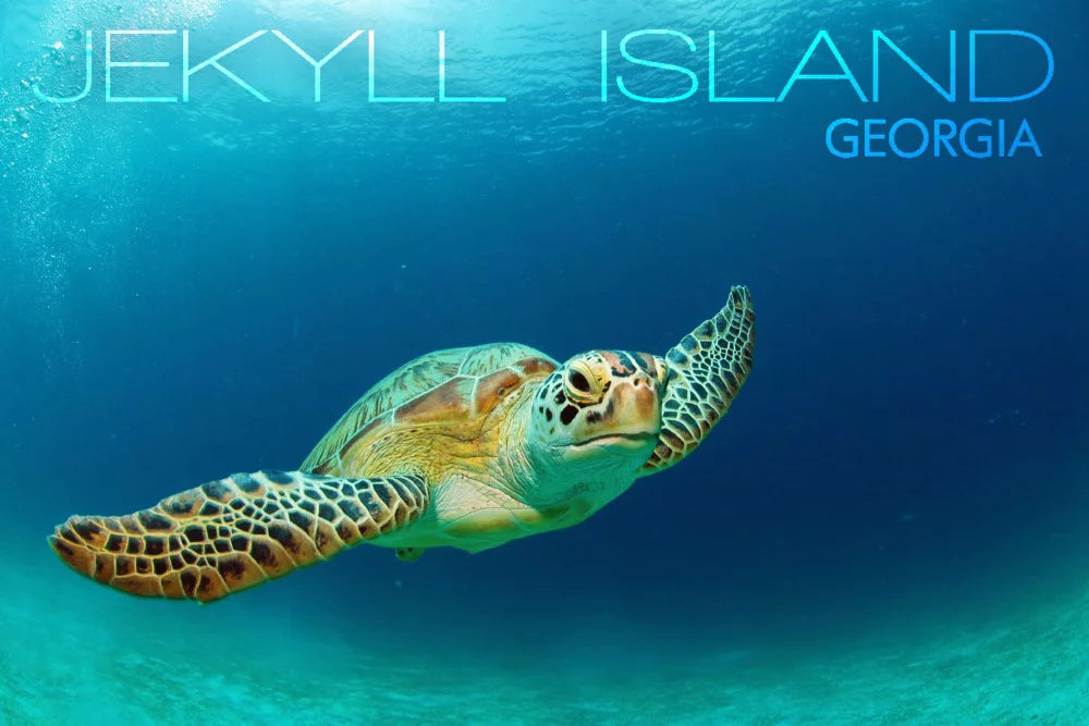 Adults Island, Made inches, in for Piece Jekyll Family, 500 Jigsaw Sea (19x27 Georgia, Premium and Puzzle Turtle USA)