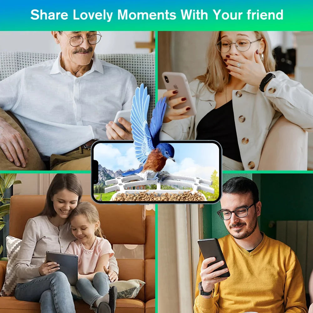 1080P with Control Bird Auto APP 2.4G Panel, House, Species, Wi-Fi Bird Capture Bird Smart Solar Identify ZUPOX Feeder Camera Videos AI Bird HD & Camera, White