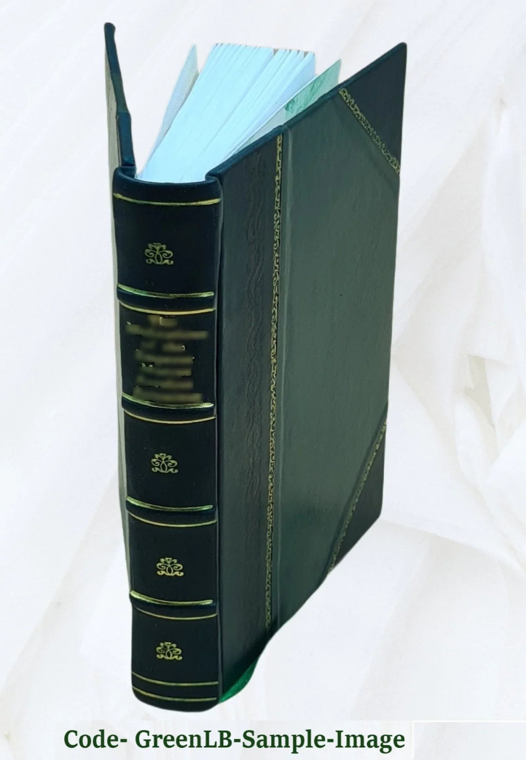 Amadas Bound] précédé première et pour d'une fois introduction par C. [Leather Hippeau. pub. Ydoine, et d'aventures; 1863 la poeme