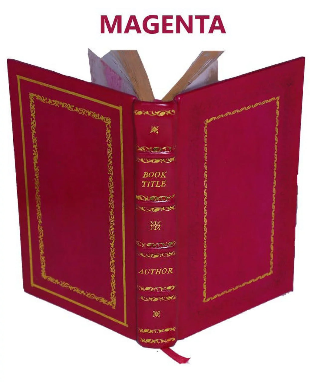 [Premium The helmet memoirs. of Bound] 1904 Mambrino Leather King Clarence