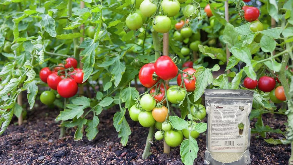 45 Soil and Keep Moisture Regulate The ph of for Polyacrylate Plant Pounds Potassium