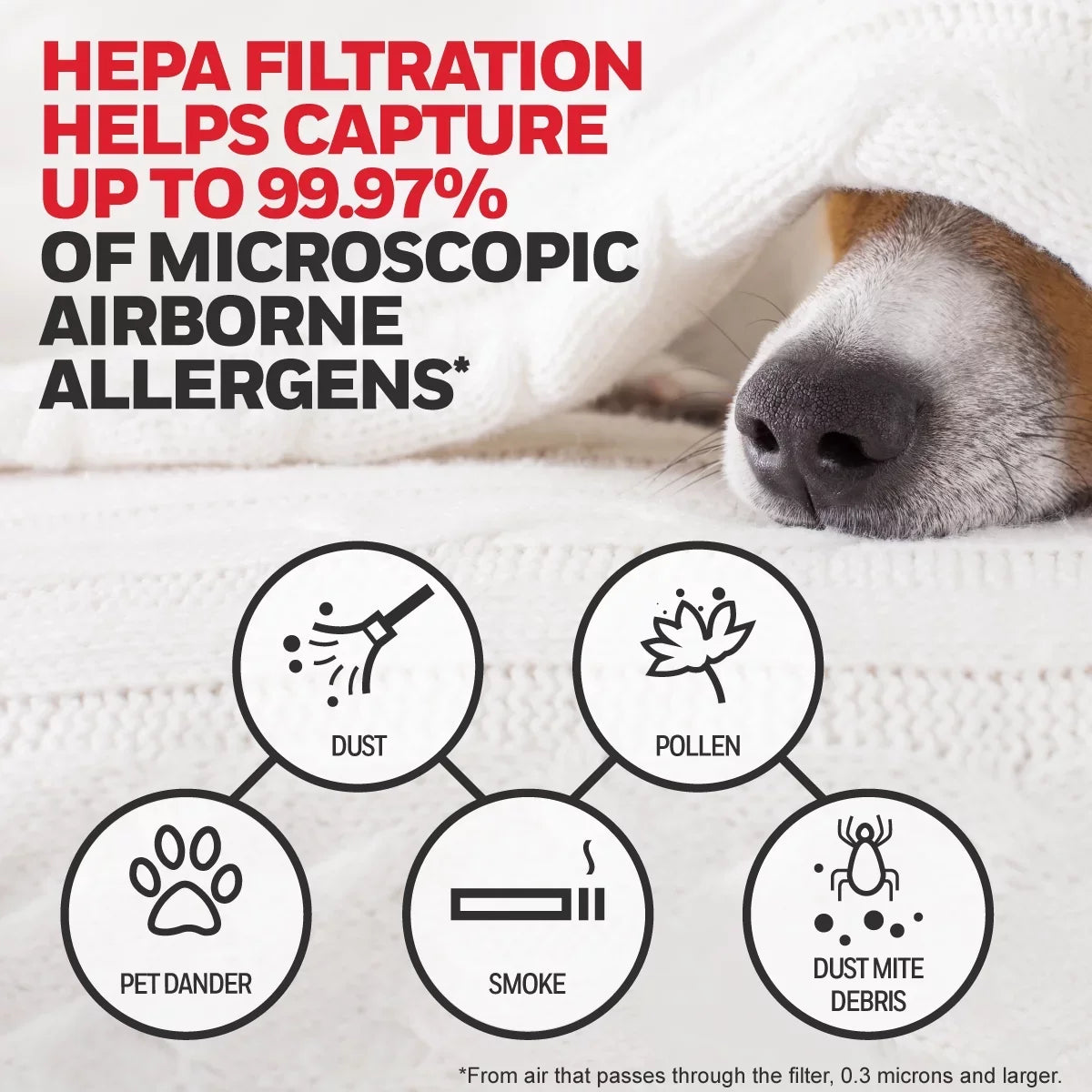 A Value R and Pack, Filter Pre-Filter HRF-ARVP100 Honeywell