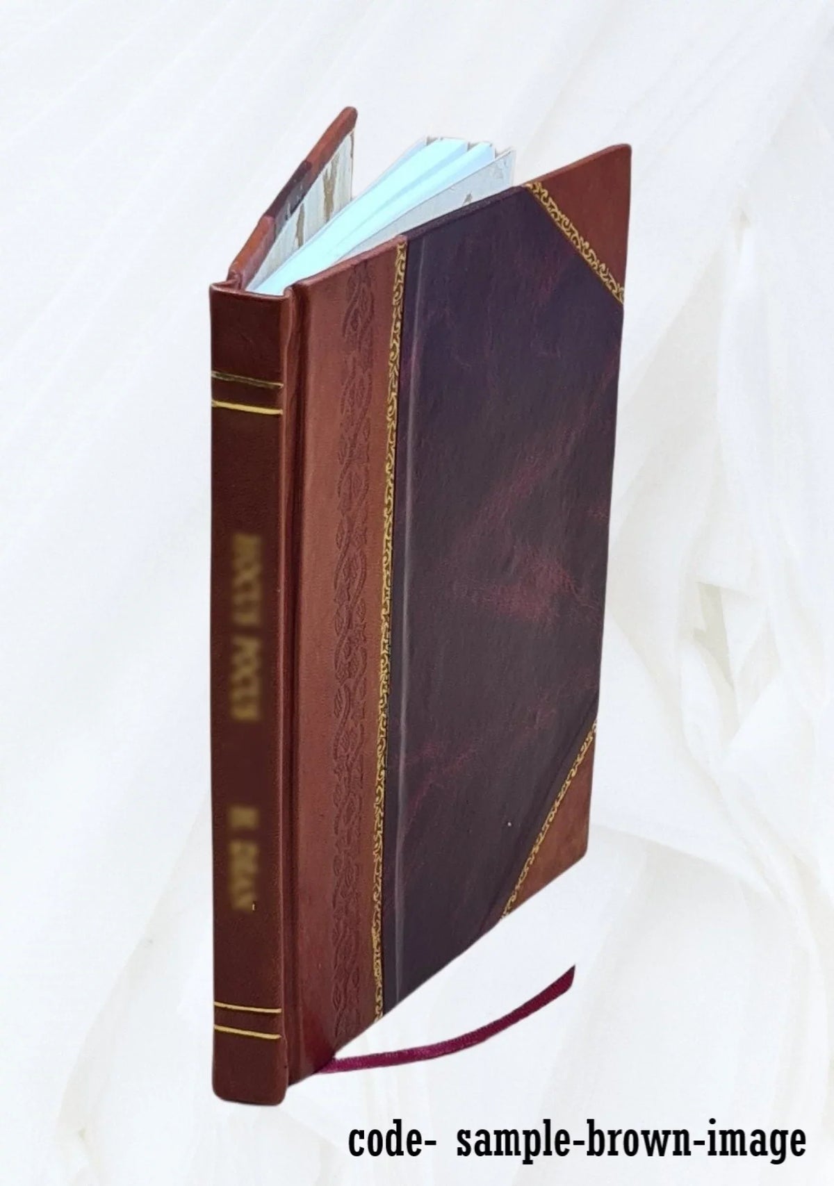 San [Leather River study, / Bound] Army report, Santa California Lorenzo Cruz, study Engineer Francisco. U.S. District, San Interim 1987