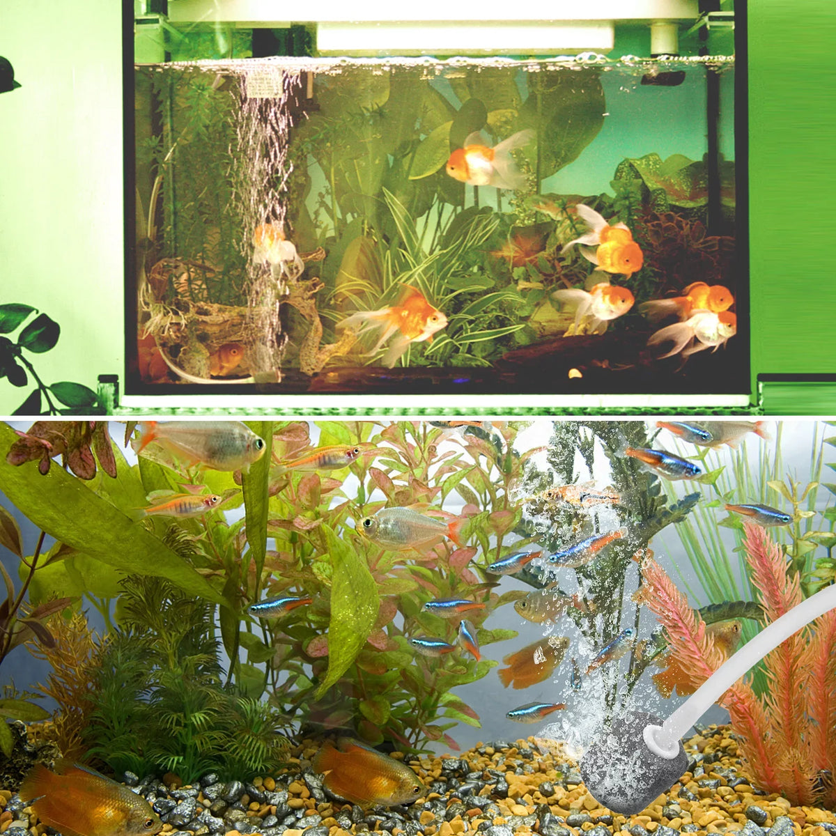 Fish Pond Rechargeable Fishing 5.5V Bubble Small Solar L Ponds Air Fish Air with Aerator & Garden Pools Pump for 1.5W Stone Tranportation Pump Circulation Oxygenator Aquarium