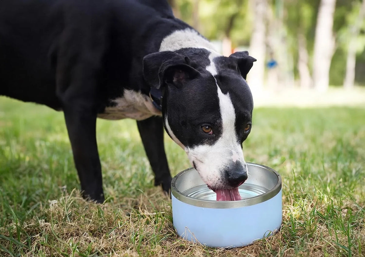 ALPINE Dishwasher Bowls, for Food Double of Steel 2 (32 Walled Set Non Bowl Insulated, Slip, Water, Pet and Pink) Stainless oz, Rustproof, Dog Safe Metal