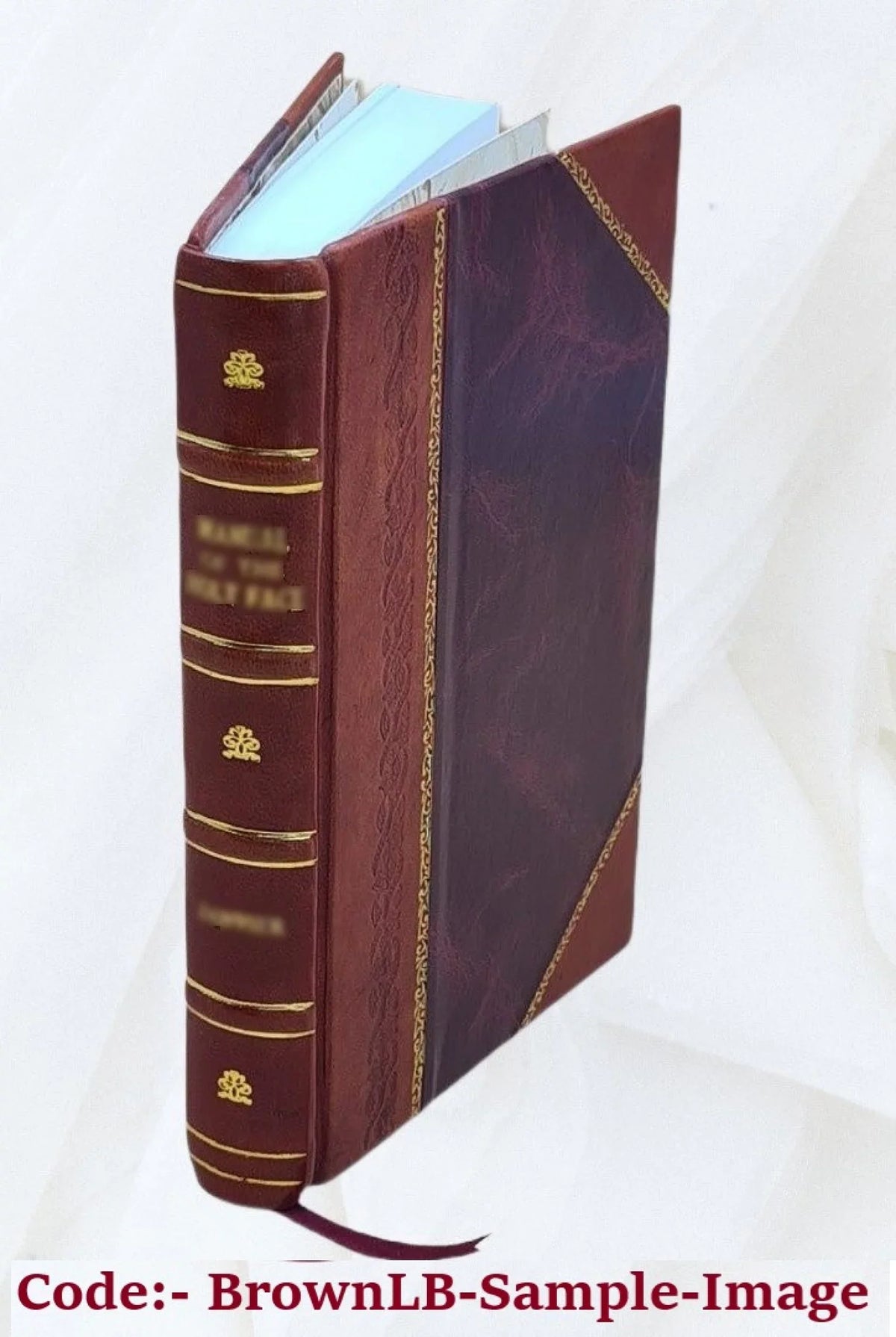 / Bound] cong ke 1876 Shanlai Volume 84) / 叢書 ji.,昭代 [張 合刻 shu v.171-172 [Zhang 輯] (case Zhao he [Leather dai 山來