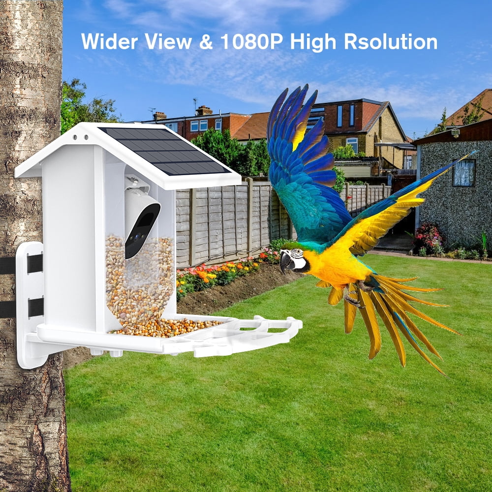 1080P with Control Bird Auto APP 2.4G Panel, House, Species, Wi-Fi Bird Capture Bird Smart Solar Identify ZUPOX Feeder Camera Videos AI Bird HD & Camera, White