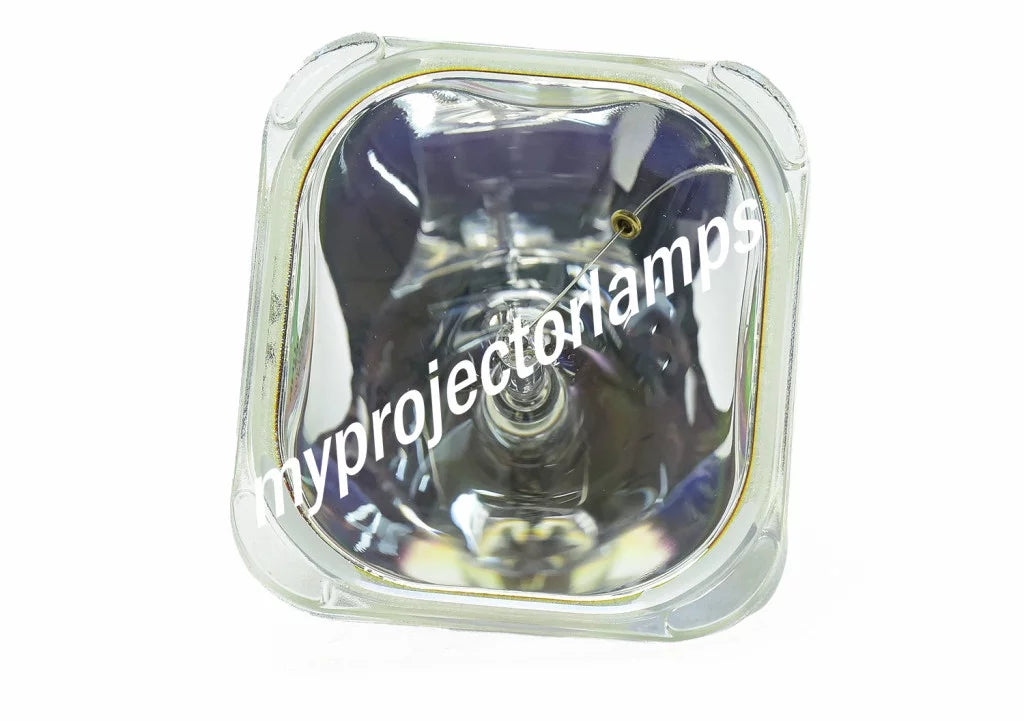LP-XG2 Lamp Bare Projector LG