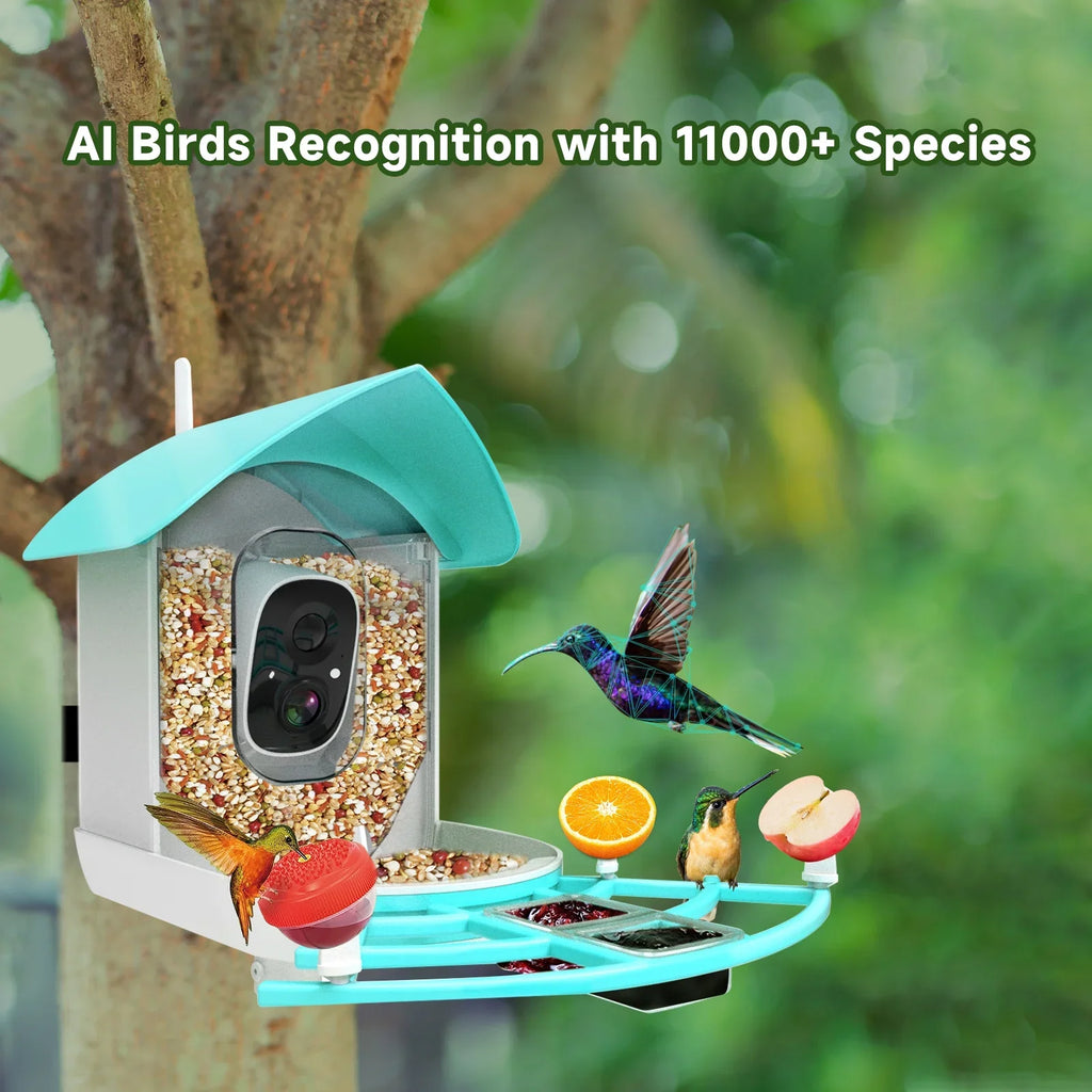 Feeder Video Video 1080pVideo Species 1080p Wireless Camera Camera Vico Powered With Resolution Owsoo Arealer Surveillance camera,PirAi Wifi Feeder Camera App Solar Pir Wifi Ai App
