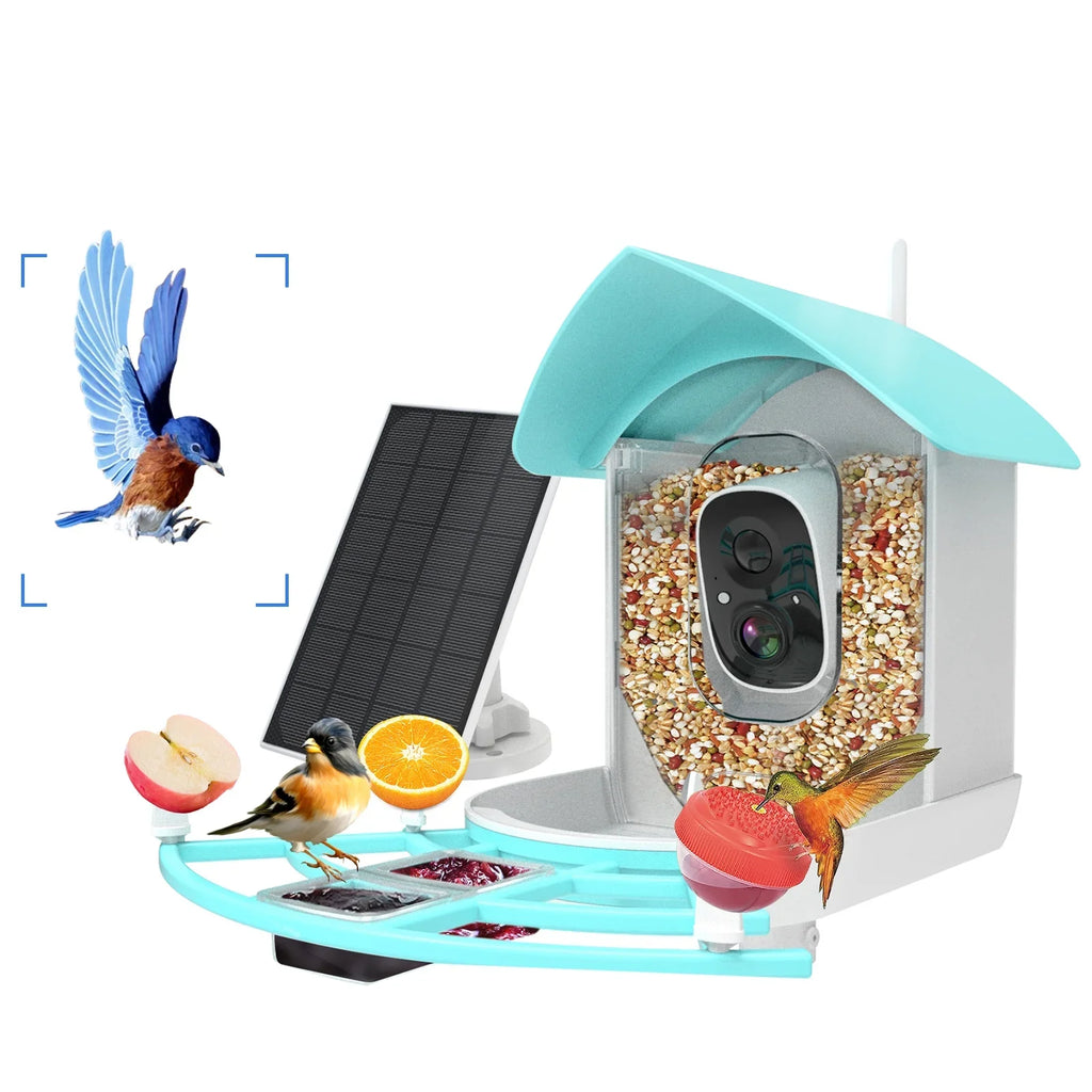 Feeder Video Video 1080pVideo Species 1080p Wireless Camera Camera Vico Powered With Resolution Owsoo Arealer Surveillance camera,PirAi Wifi Feeder Camera App Solar Pir Wifi Ai App