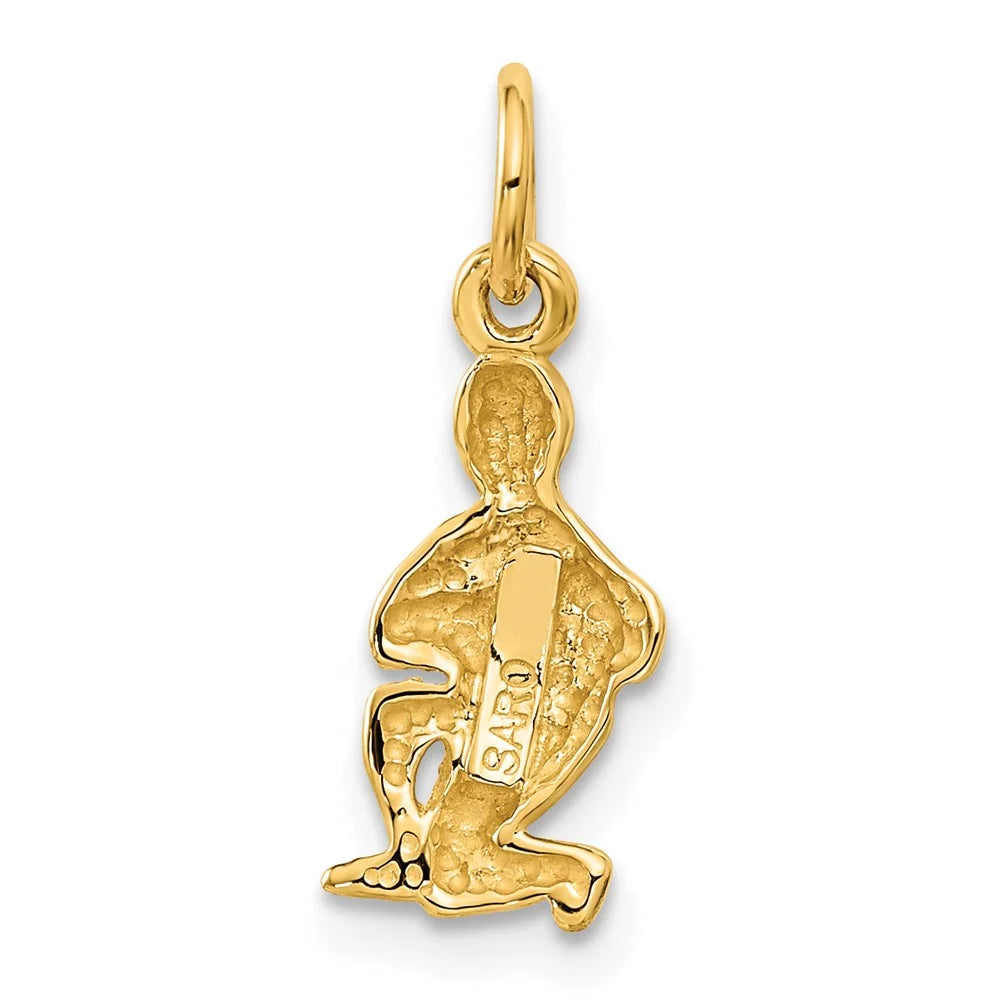 20 10 Charm Yellow mm kt FJC Zodiac 8 Aquarius Gold Finejewelers x