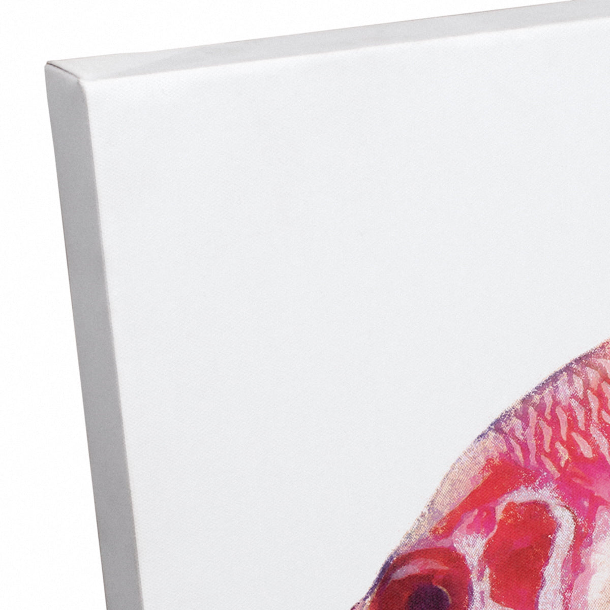 Fish Creative Products Tropical Red Canvas Art 12x18 Snapper Wall