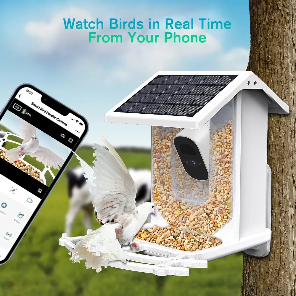 1080P with Control Bird Auto APP 2.4G Panel, House, Species, Wi-Fi Bird Capture Bird Smart Solar Identify ZUPOX Feeder Camera Videos AI Bird HD & Camera, White