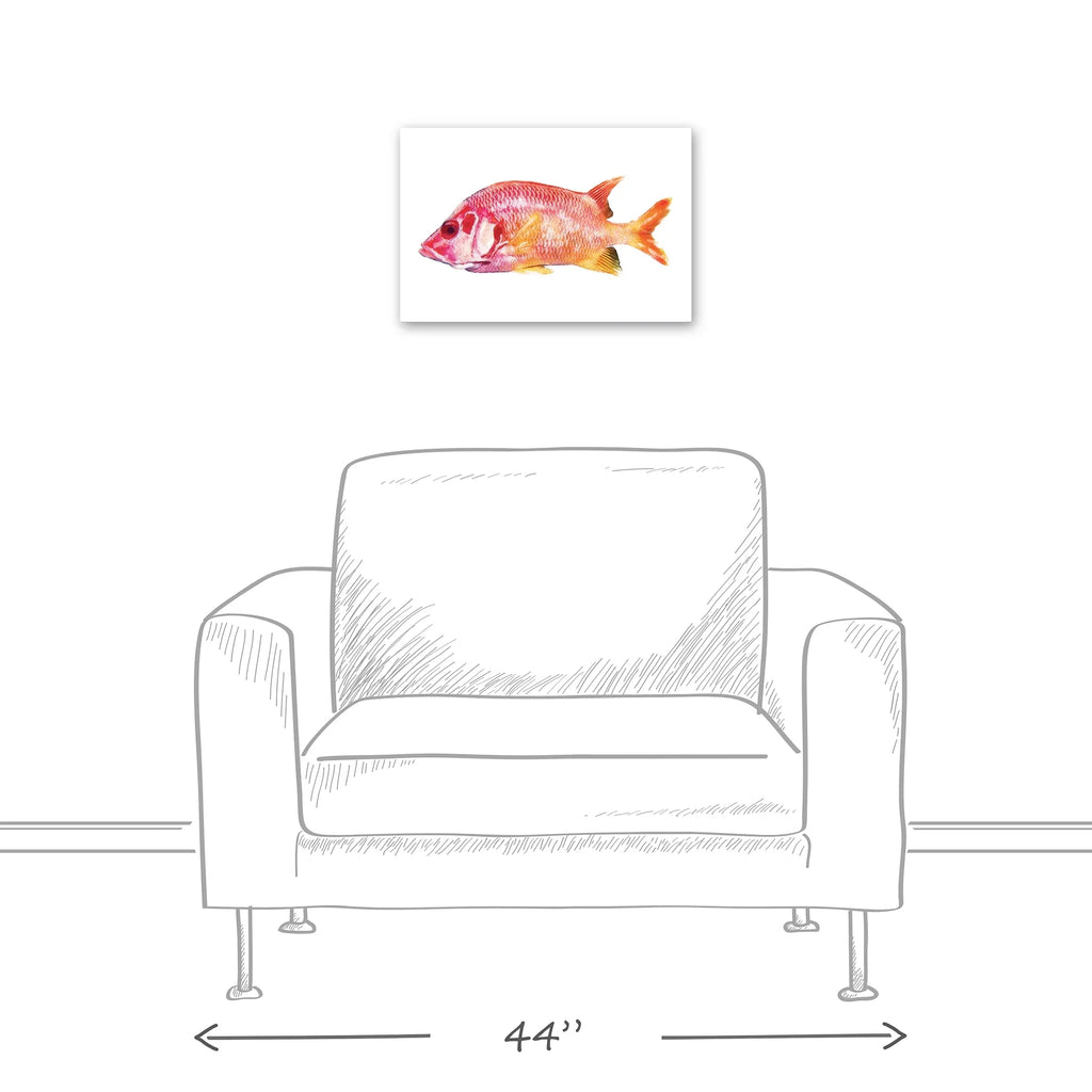 Fish Creative Products Tropical Red Canvas Art 12x18 Snapper Wall