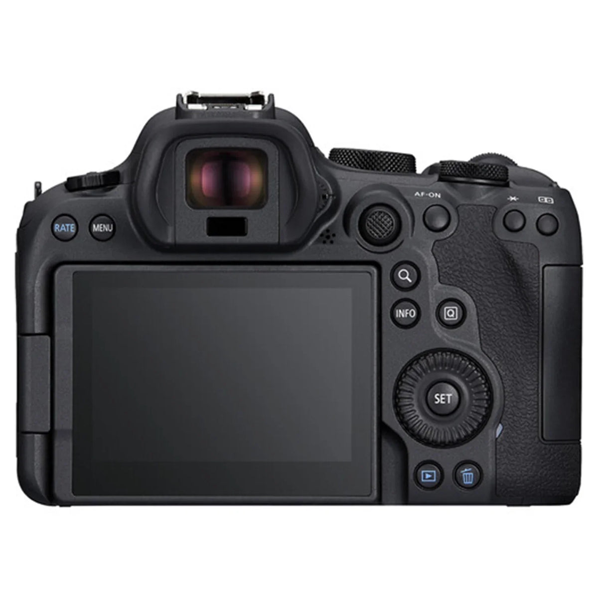 Card + RF SanDisk + R6 II EF + Case ZeeTech Camera 32GB Bundle with 24-105mm Mark Memory LED Canon + 75-300mm Lens + Flash Mirrorless EOS Accessory