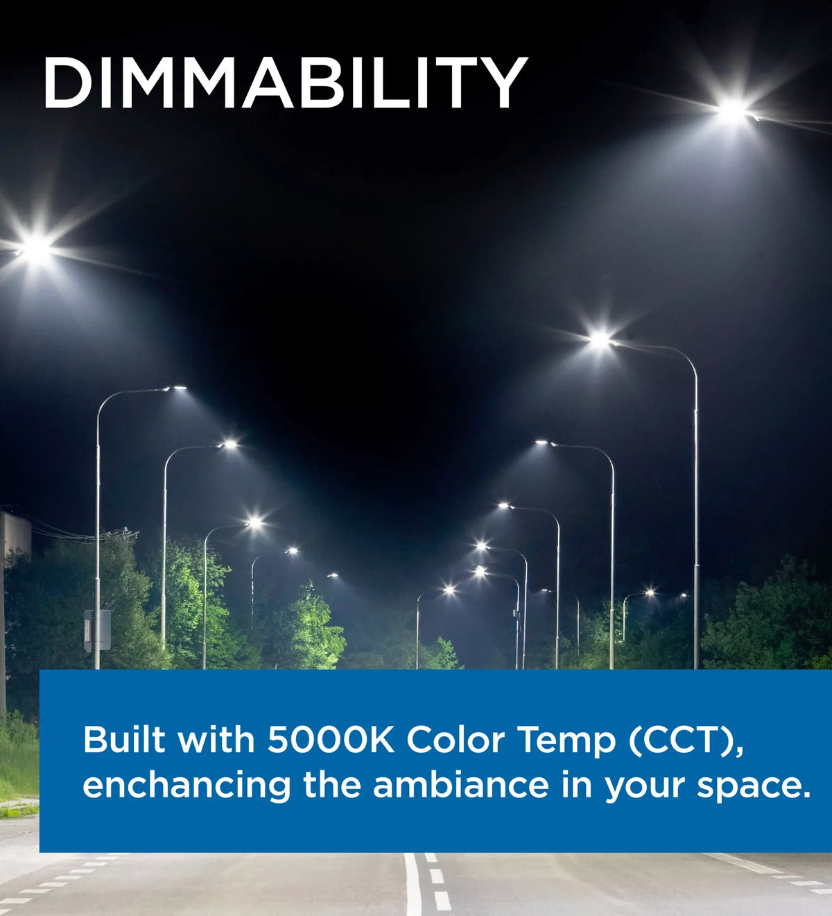 Roadway 5000K Viribright LED 100W 13,800 / Light Lumens /