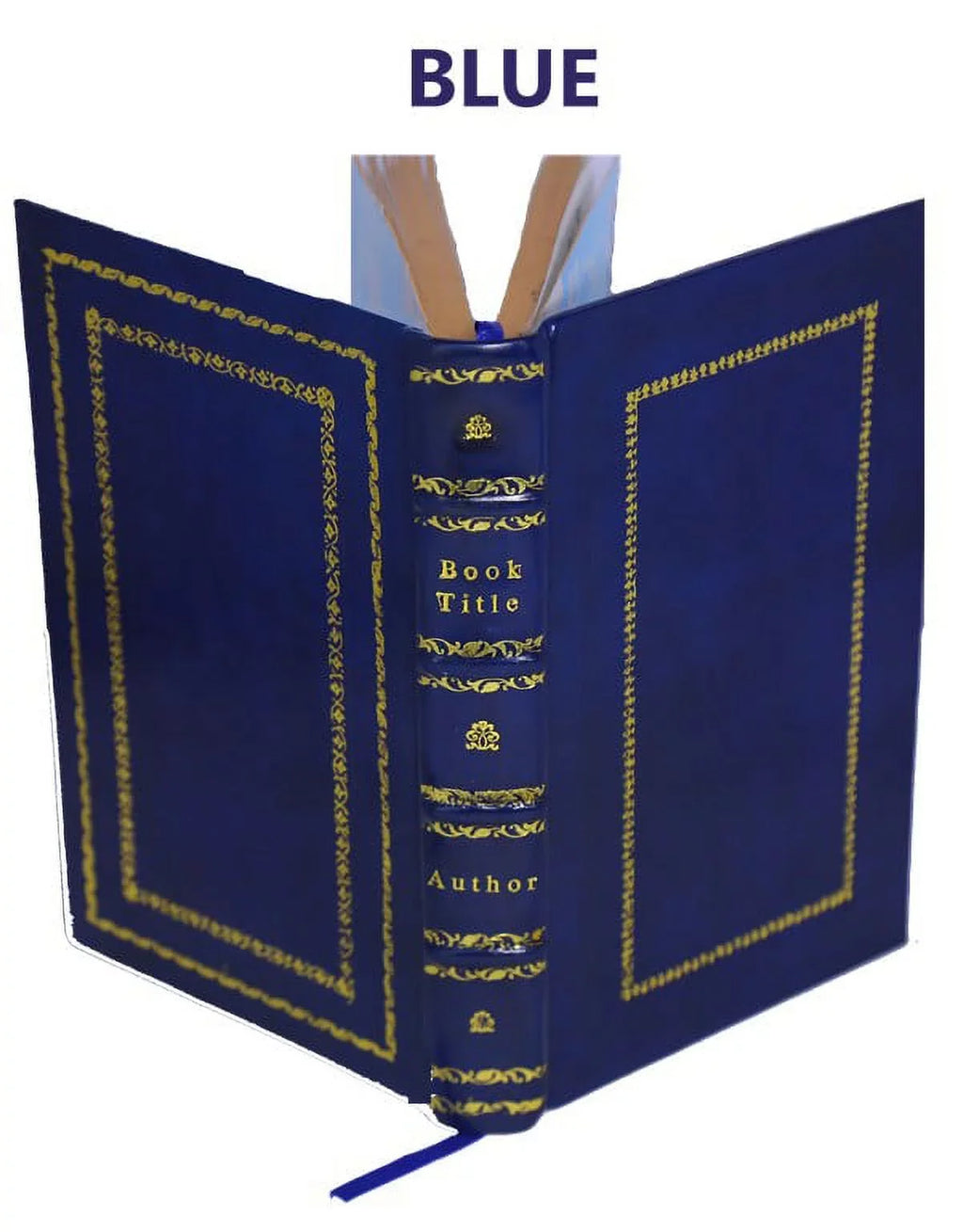 [Premium The helmet memoirs. of Bound] 1904 Mambrino Leather King Clarence
