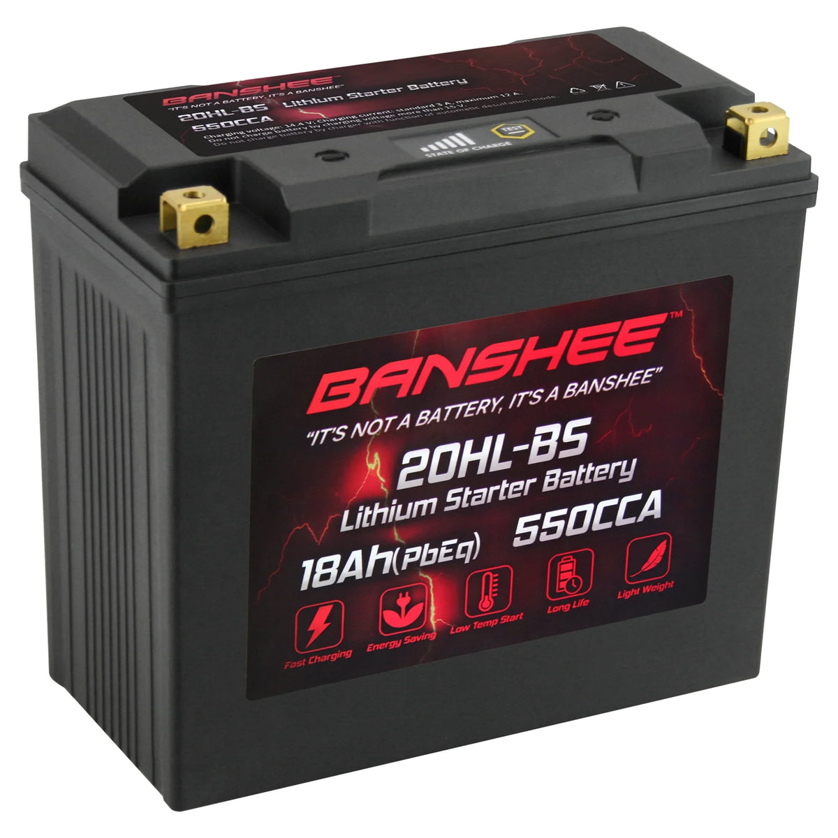 20L-BS Kawasaki SE 2014 JT1500 Compatible 310X Battery to Motorsports with Ultra Banshee 2019 LiFePO4