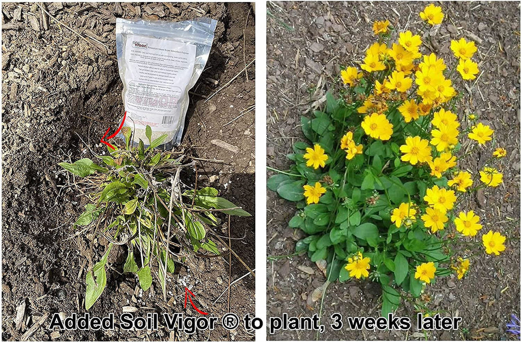 45 Soil and Keep Moisture Regulate The ph of for Polyacrylate Plant Pounds Potassium
