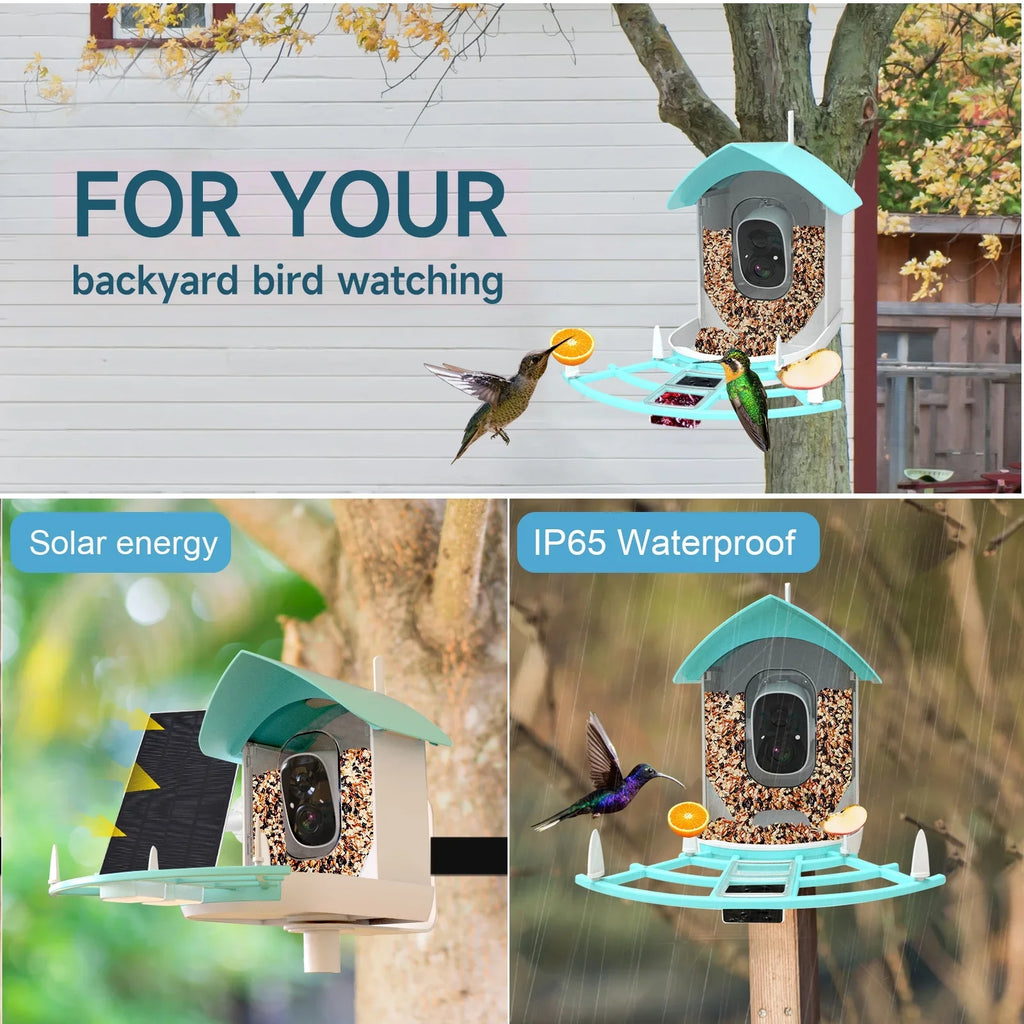 Feeder Video Video 1080pVideo Species 1080p Wireless Camera Camera Vico Powered With Resolution Owsoo Arealer Surveillance camera,PirAi Wifi Feeder Camera App Solar Pir Wifi Ai App