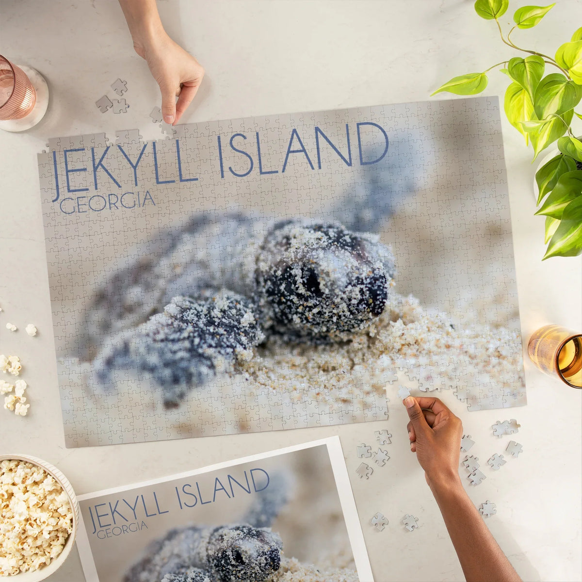 Turtle Puzzle, Lantern Georgia, Jigsaw Island, Jekyll Piece Press 1000 Hawksbill Hatching