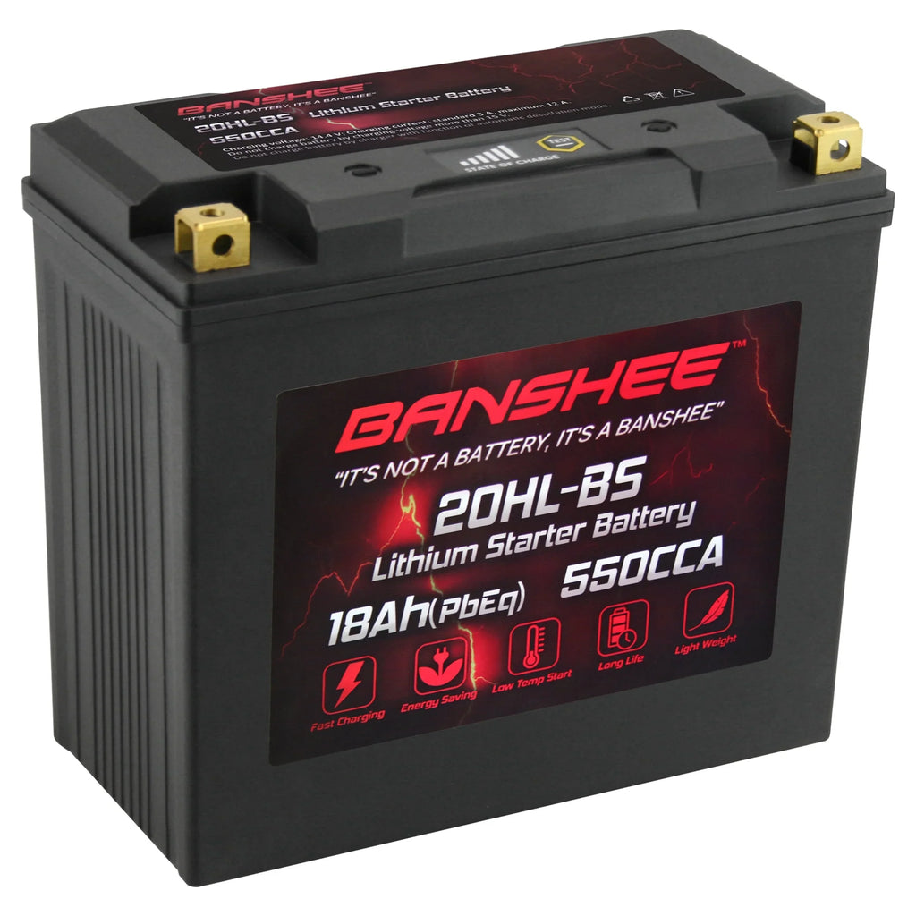 3D Motorsports LiFePO4 Battery 2005 with Banshee Sea-Doo to Compatible YTX20L-BS RFI 2005
