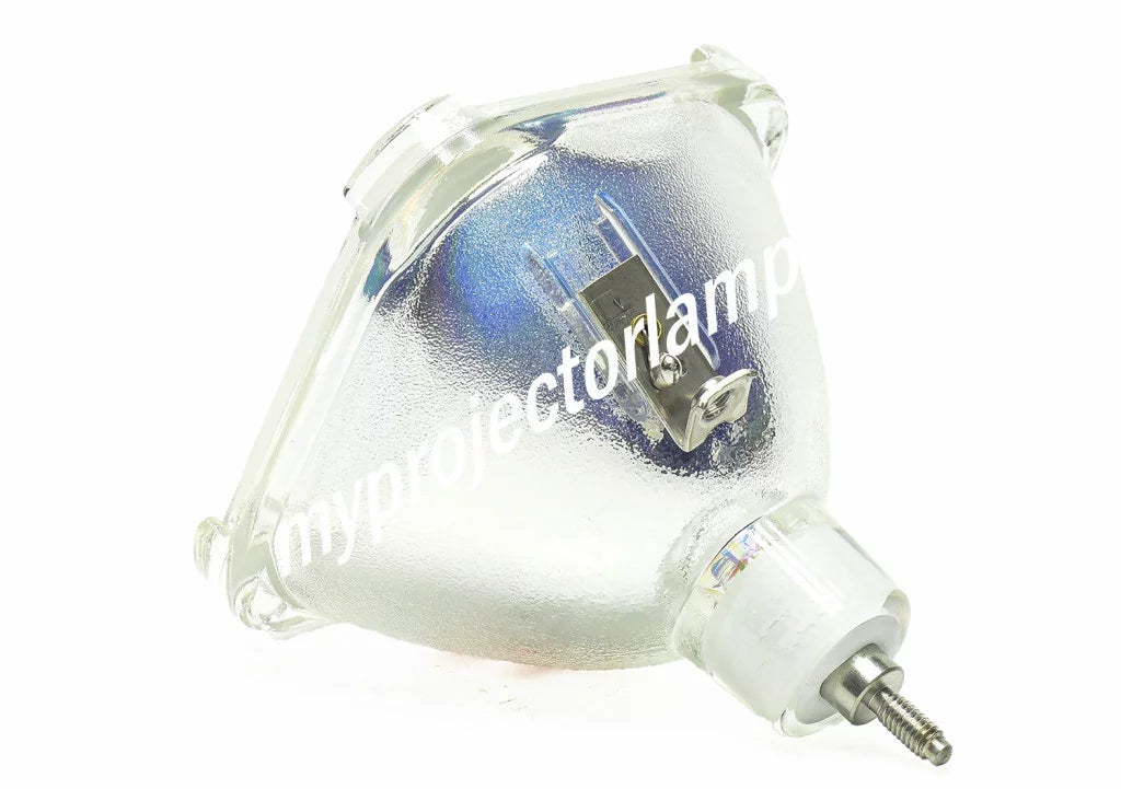 LP-XG2 Lamp Bare Projector LG