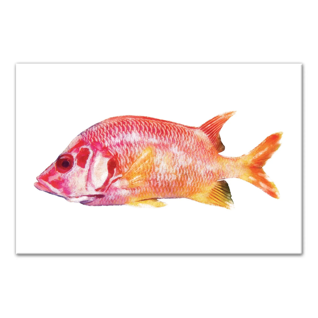 Fish Creative Products Tropical Red Canvas Art 12x18 Snapper Wall