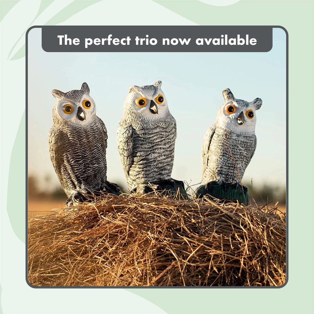Pest Decoys Repellent (set (small) Protectors Owl - Garden Scarecrow Fake of - 3)