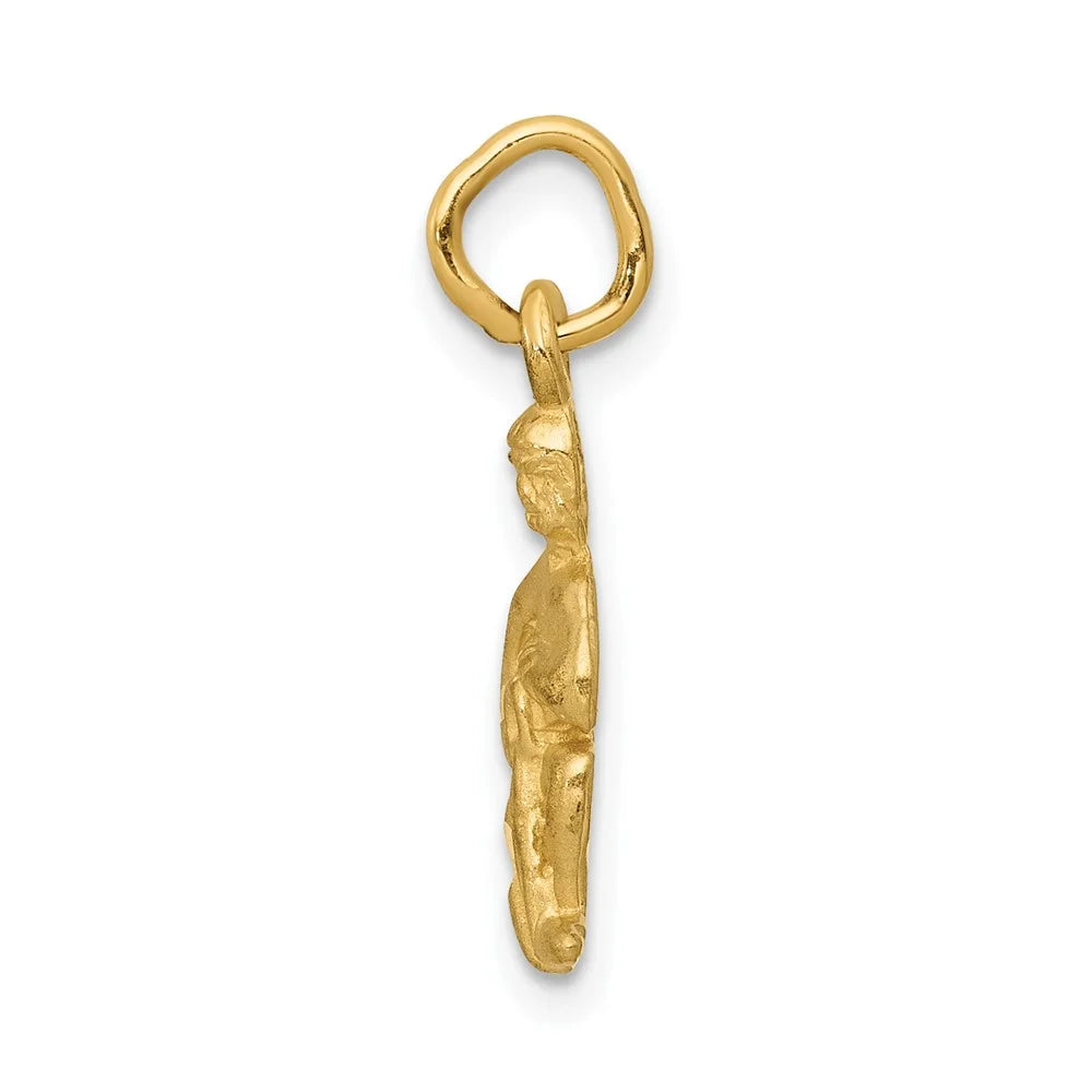 20 10 Charm Yellow mm kt FJC Zodiac 8 Aquarius Gold Finejewelers x