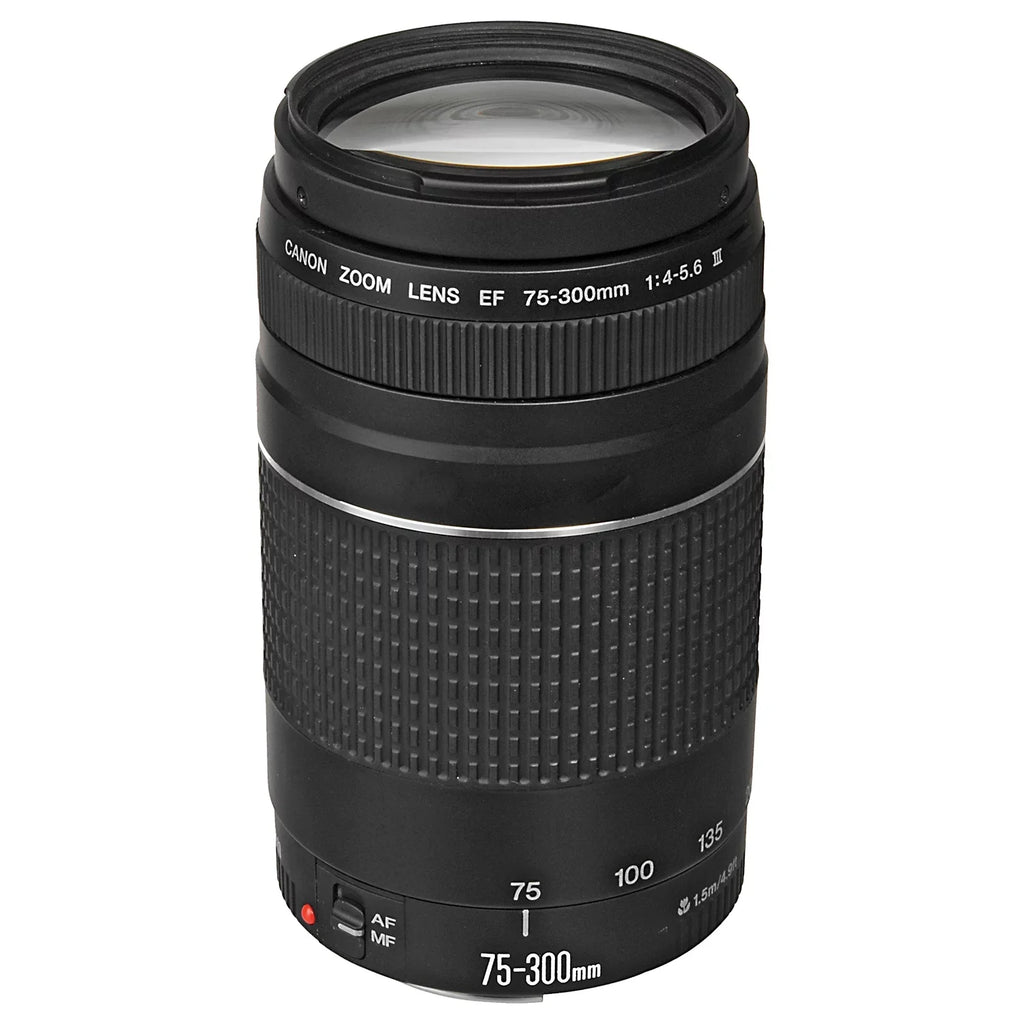 Card + RF SanDisk + R6 II EF + Case ZeeTech Camera 32GB Bundle with 24-105mm Mark Memory LED Canon + 75-300mm Lens + Flash Mirrorless EOS Accessory