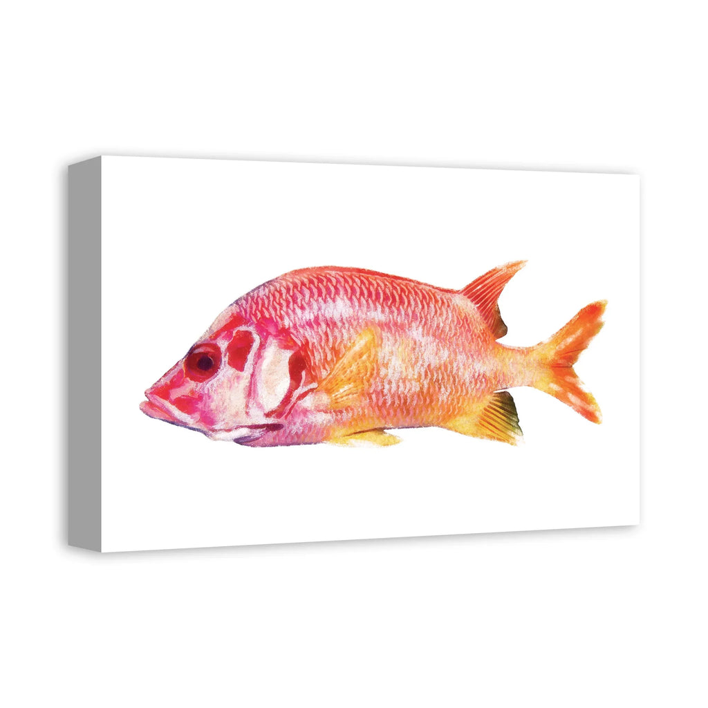 Fish Creative Products Tropical Red Canvas Art 12x18 Snapper Wall