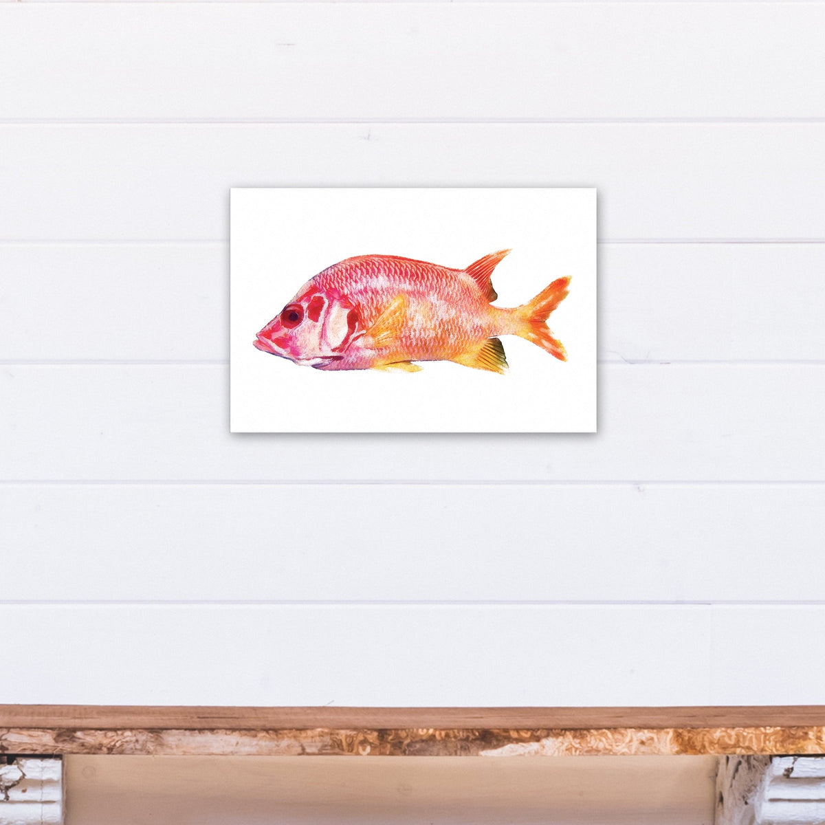 Fish Creative Products Tropical Red Canvas Art 12x18 Snapper Wall